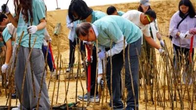 草方格實踐現場